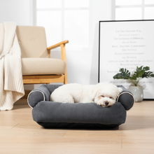 Søt hund i grå hundeseng