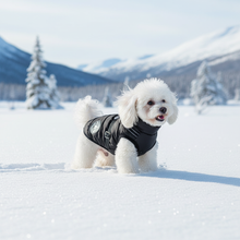 Svart hundejakke i vinterlandskap